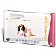Revolution Pups & Kittens 3 Tubes/Pack