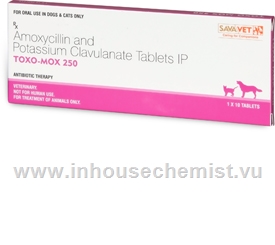 Toxo-Mox 250 (Amoxicillin & Potassium Clavulanate 200mg/50mg) 10 Tablets/Pack