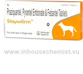 Slayworm 10 Tablets/Pack