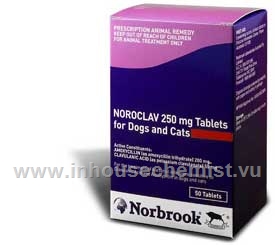 Noroclav 250mg 50 Tablets/Pack