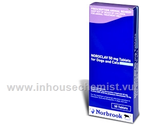 Noroclav 50mg 50 Tablets/Pack