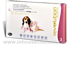 Revolution Pups & Kittens 3 Tubes/Pack