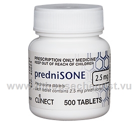 Prednisone Clinect (Prednisone 2.5mg) 500 Tablets/Pack